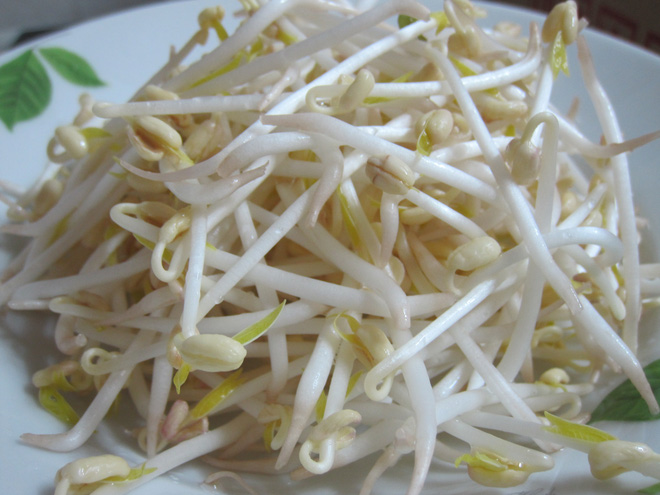 Giá: Bổ dưỡng hơn đậu - Ảnh 1. Giá: Bổ dưỡng hơn đậu - Ảnh 1.