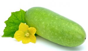 Bí đao