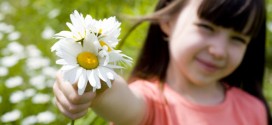 Những bài học dạy con từ hoa